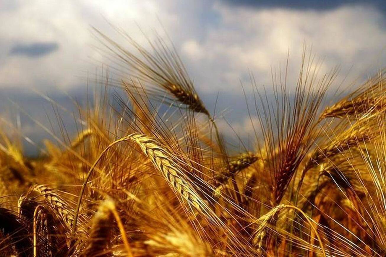 وابستگی...