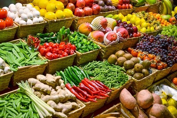 با ایجاد زنجیره ارزش  می توان  دلالان را حذف  کرد  و سود اصلی را  به تولید کننده  رساند 