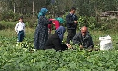 آمادگی ...