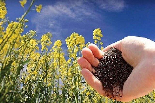 عدم حما...