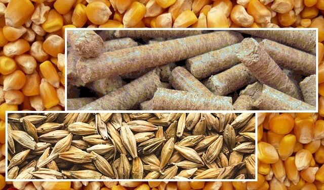 میزان و...