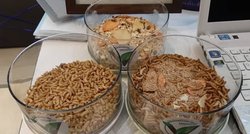 دستیابی...