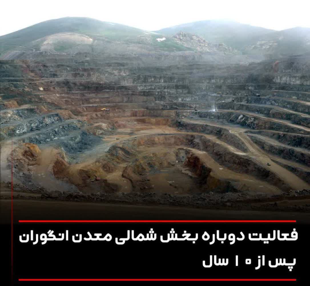 فعالیت ...