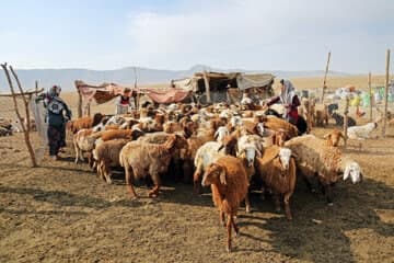دستیابی...