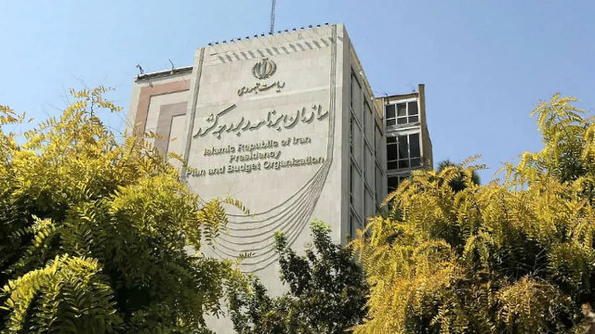 شناسایی...