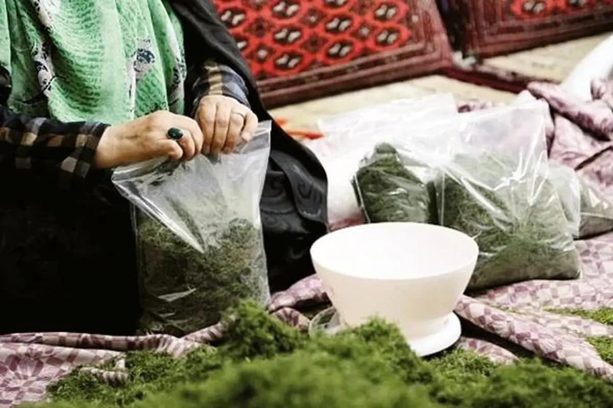 مشاغل خ...