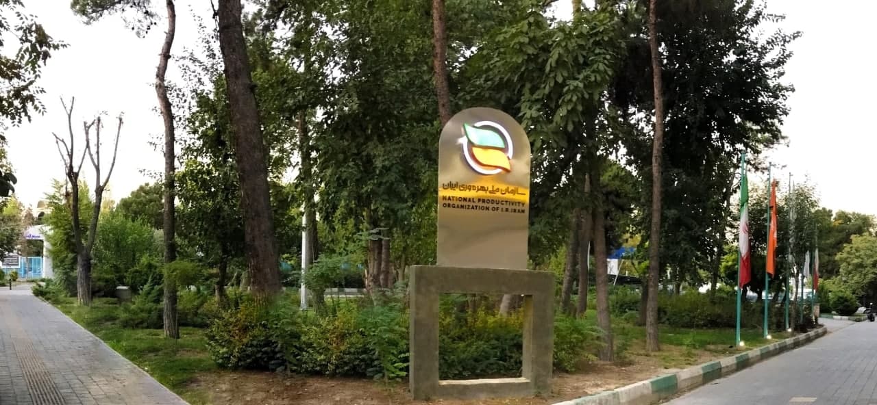 ریشه نا...