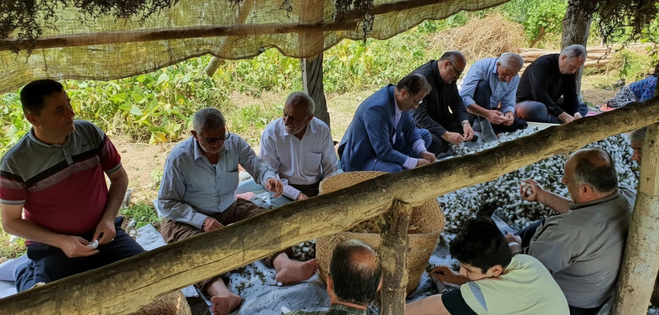 بیش از ۲۰ هزار خانوار کشور در صنعت تولید پیله‌تر ابریشم فعالیت دارند