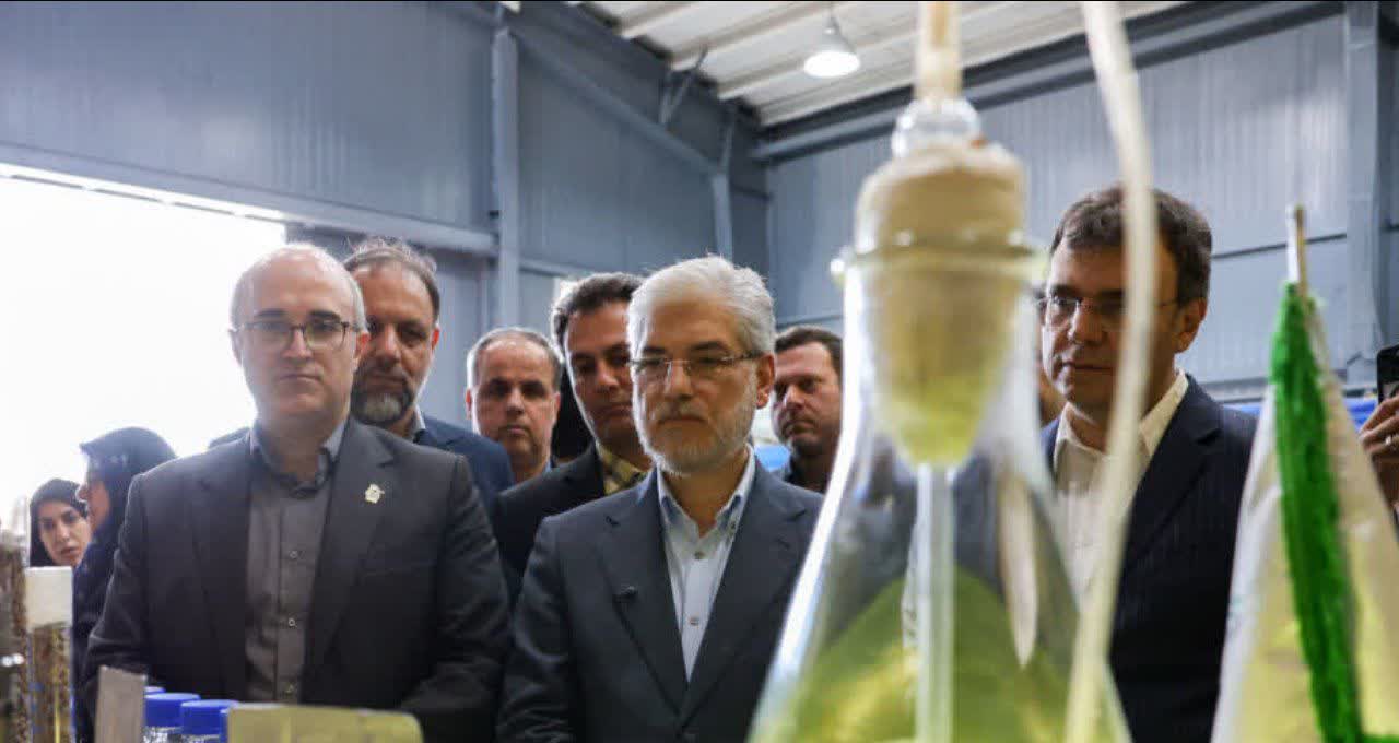 وزیر علوم: مهارتی شدن آموزش باید اولویت اصلی دانشگاه شود