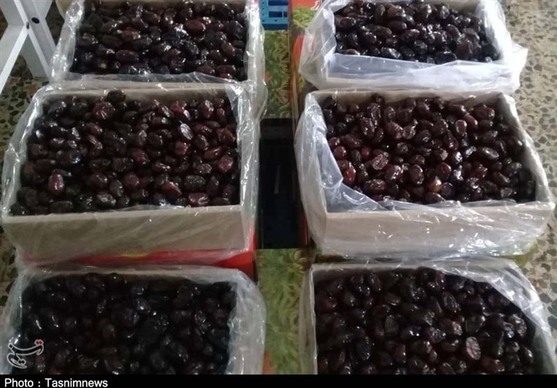 خرما ها...