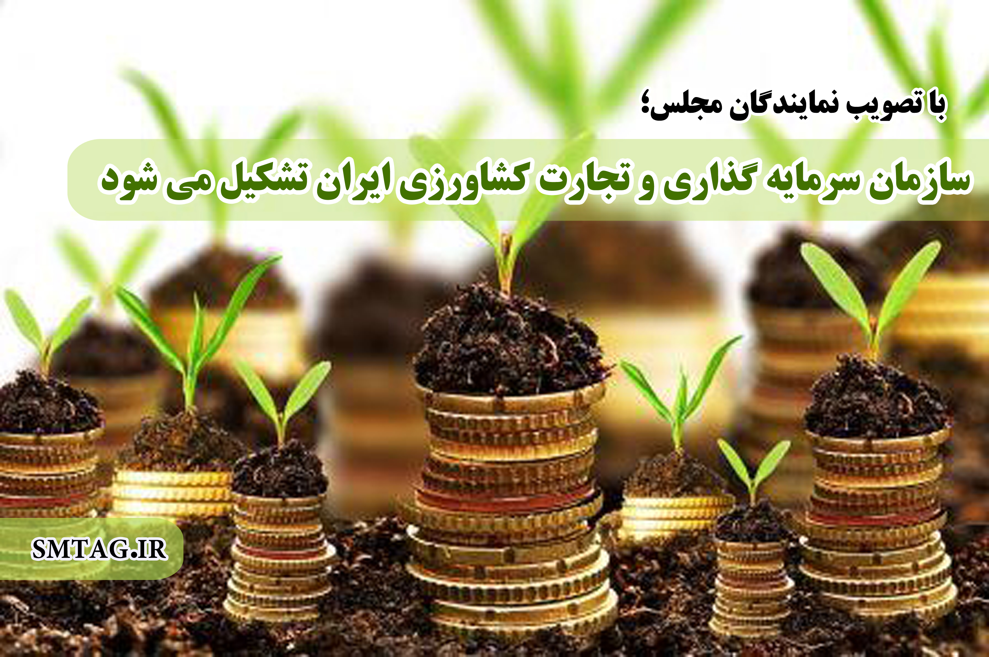 سازمان ...
