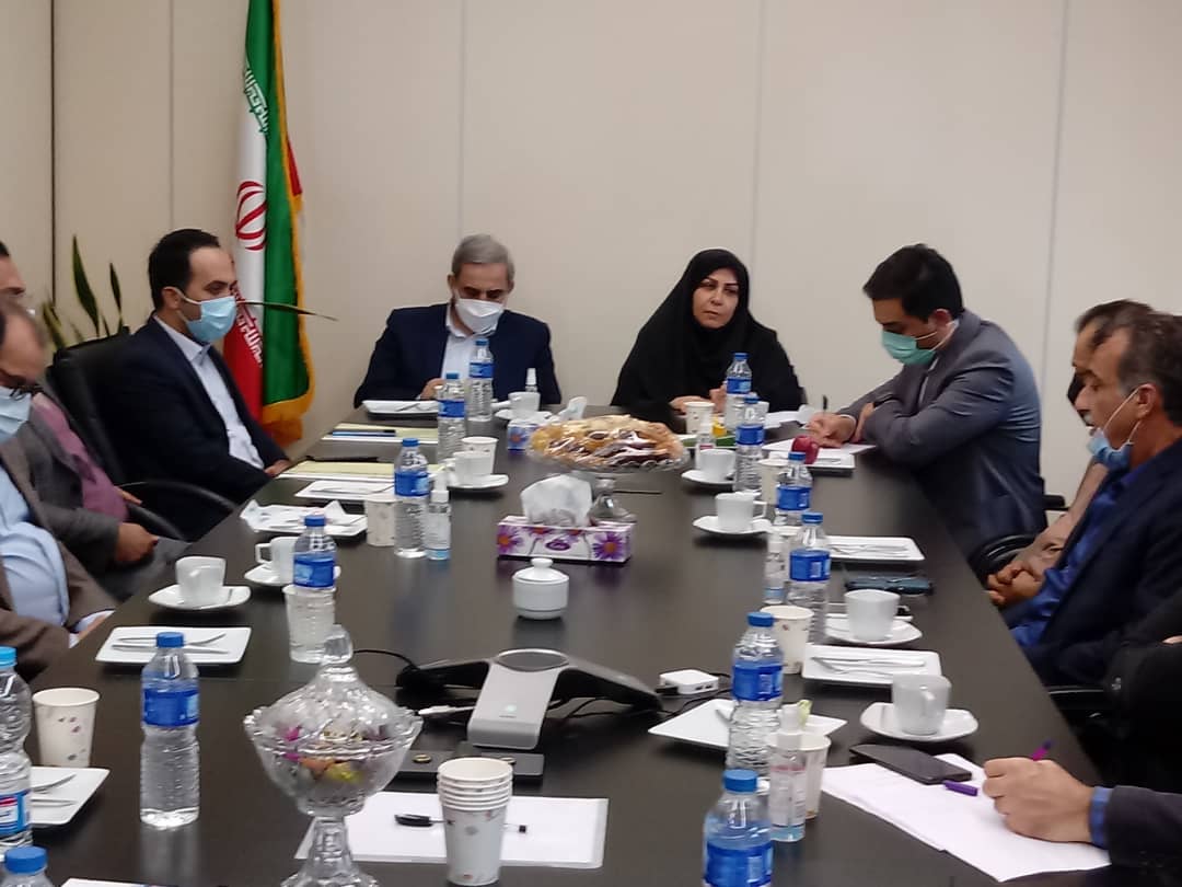 می توان برخی از صنایع را به وضعیت رقابتپذیر شدن باز گرداند و از وضعیت زیان دهی خارج کرد