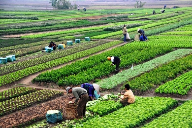 وضعیت ص...