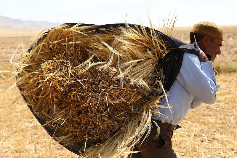 برای کو...