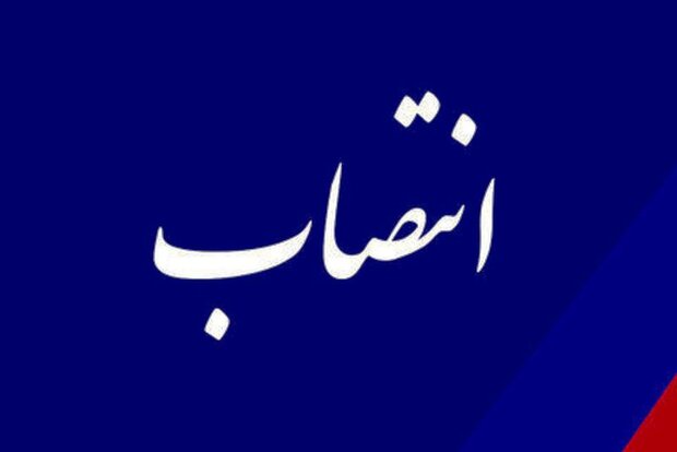 معاون ت...