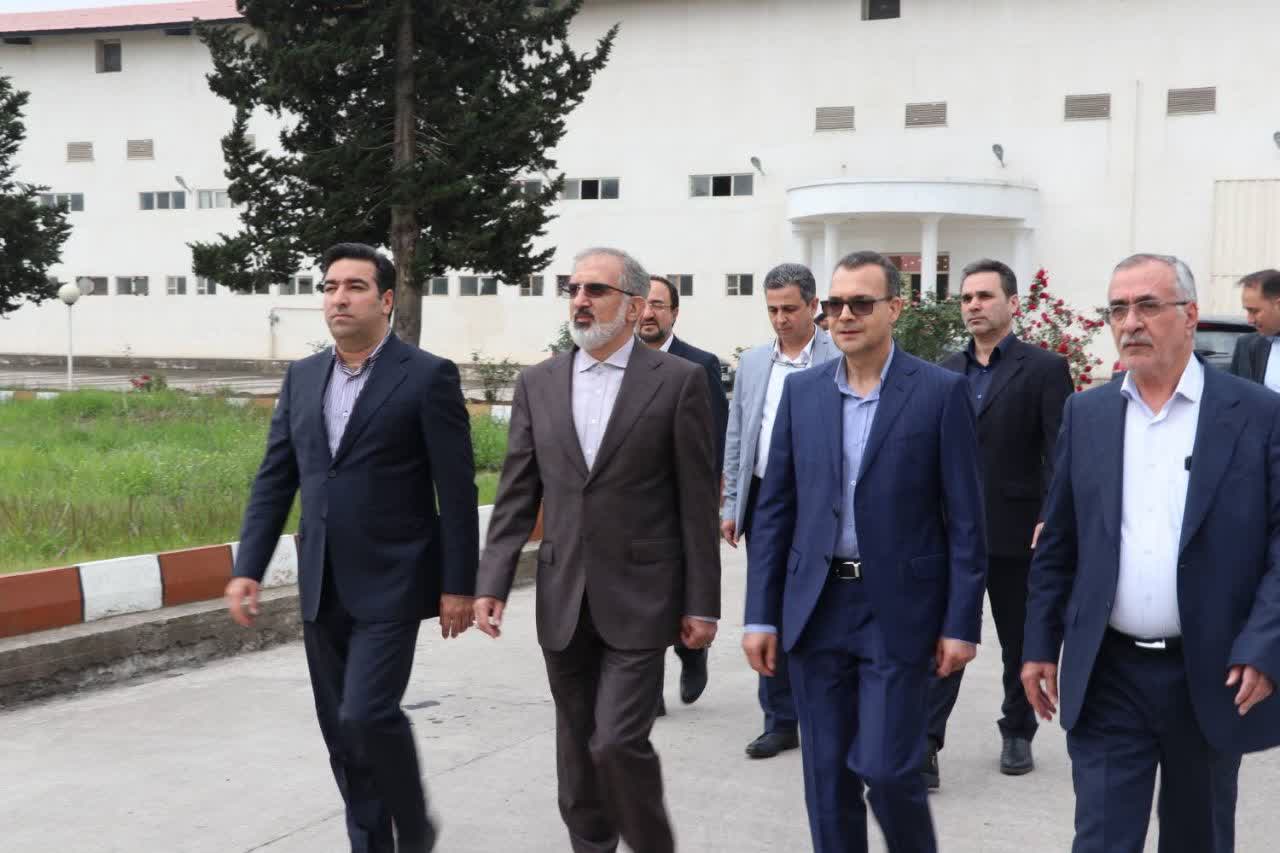مهار تو...