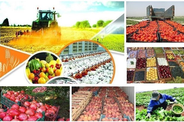 پیشنهاد معافیت صادرکنندگان کشاورزی از بازگرداندن ارز صادرات