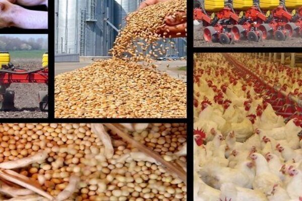 تکرار س...