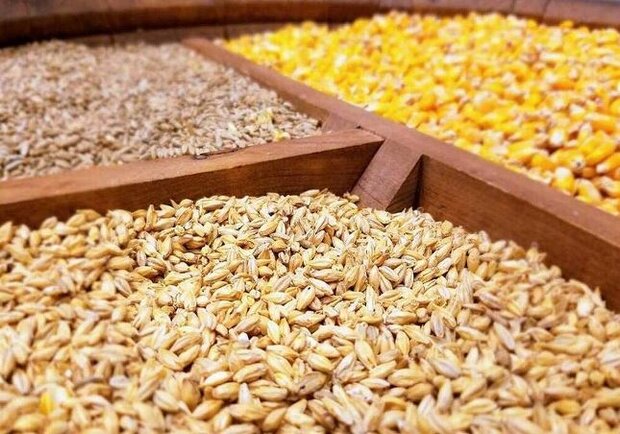 بررسی ع...