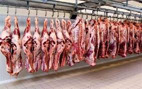 دام‌ها روی دست تولیدکنندگان مانده ، قیمت گوشت کاهشی است