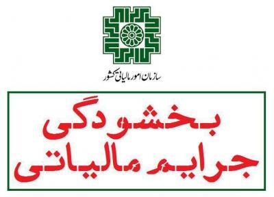 ضوابط ب...