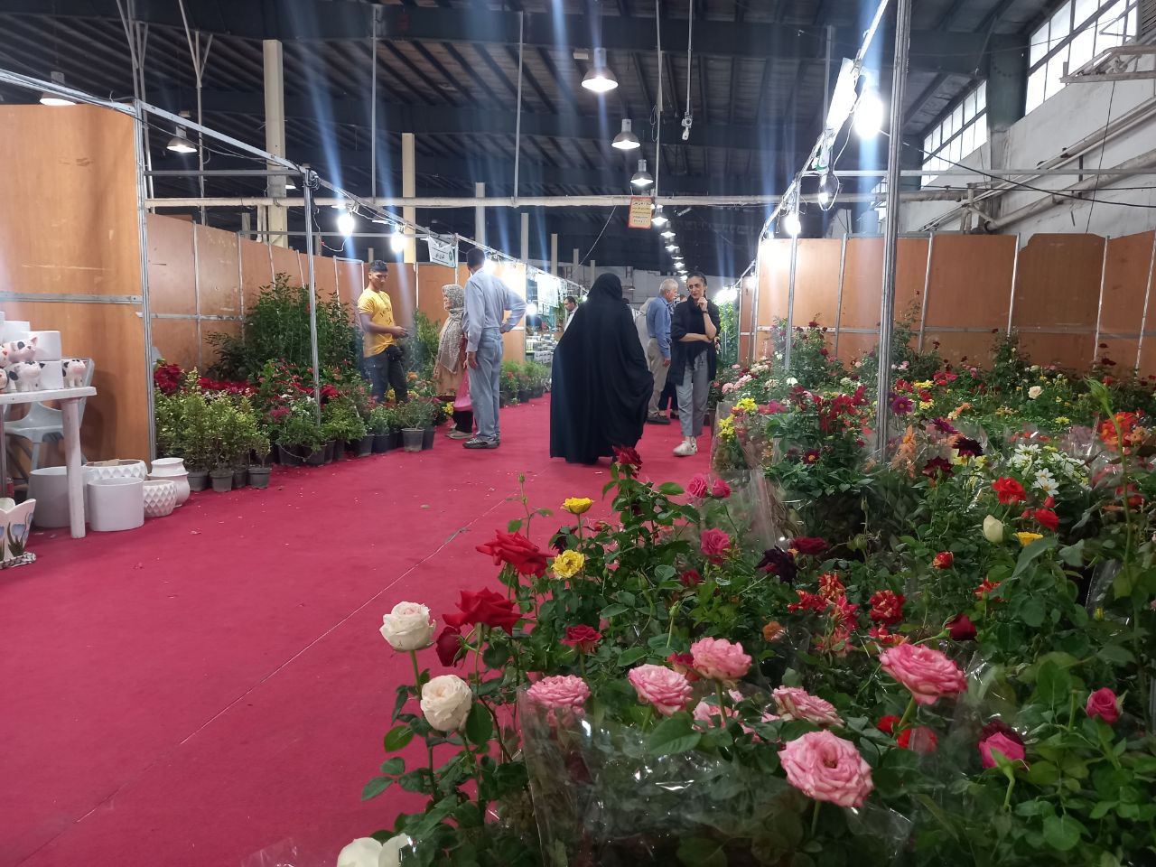 افزایش ...