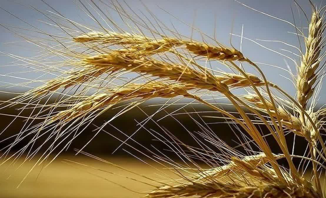 دستیابی...