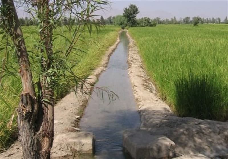 کاشت مح...