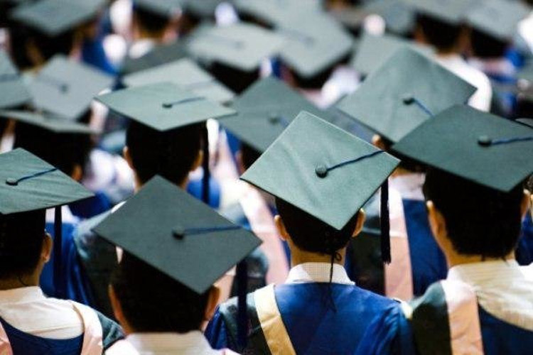 سهم 11 درصدی دانش آموختگان از بازار کار بخش خصوصی