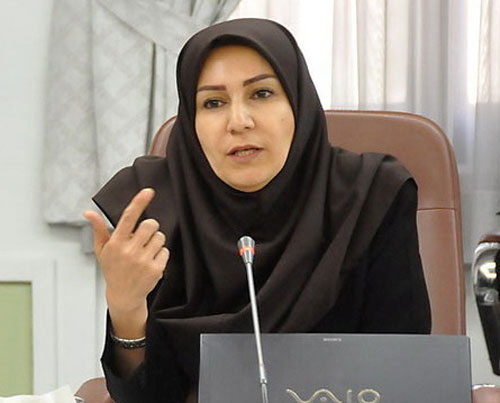 یک میلیون و هفتصد و پنجاه هزار کیلومتر خطی در اولویت برداشت ژئوفیزیک هوایی قرار دارد/ سازمان زمین شناسی می تواند درخصوص احیای معادن کوچک نقش موثری داشته باشد