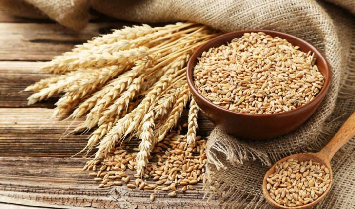 تفویض اختیارات کارگروه گندم و آرد به وزیر صنعت غیرقانونی است