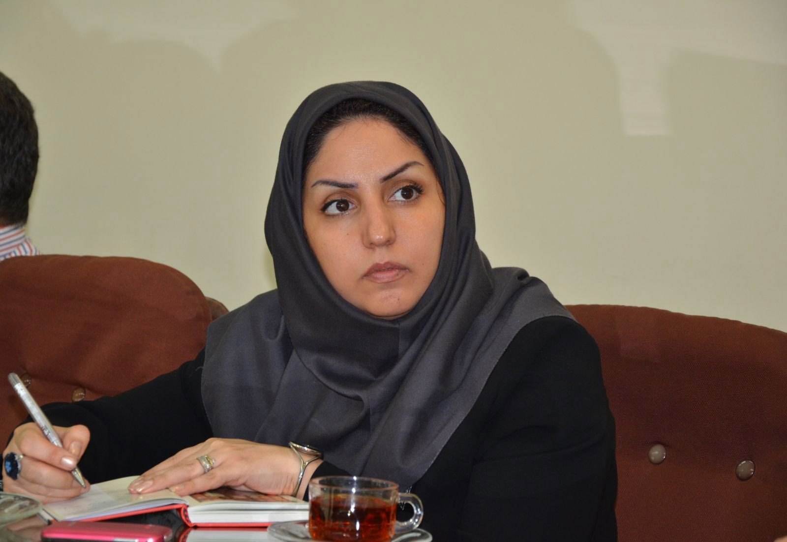 استان گیلان نیازمند تشکیل شورای عالی زمین‌شناسی است