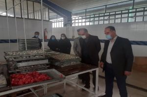 موانع کاری و مالی تولیدکنندگان گیلان رفع میشود